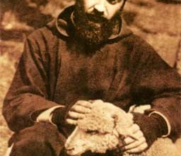 Padre Pio pastorello